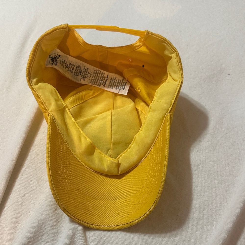 Disney Wilderness Explorer Hat - image 3